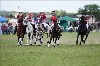 UKPA NC SAT_2750